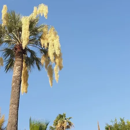 شقة Centre Et A Pied Echappee