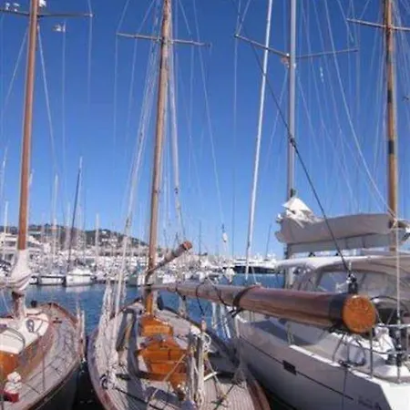 Apartman Centre Et A Pied Echappee