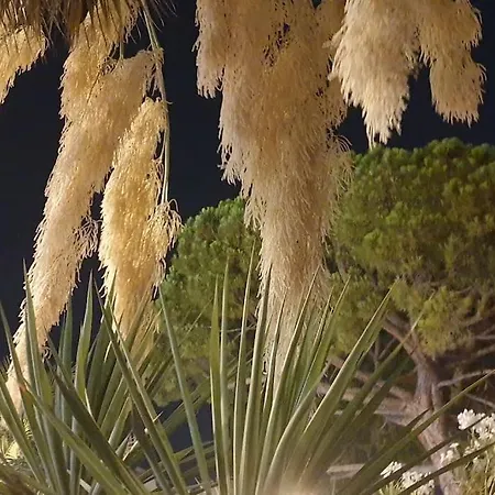 شقة Centre Et A Pied Echappee