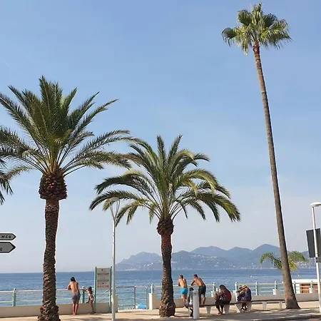 Apartman Centre Et A Pied Echappee