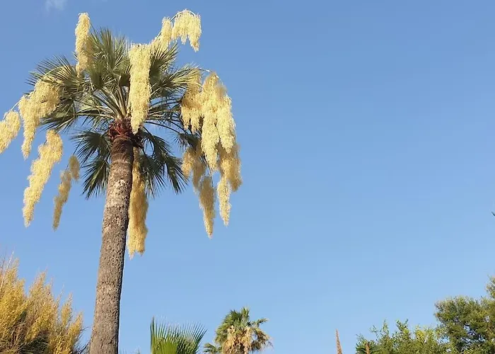 Lejlighed Centre Et A Pied Echappee