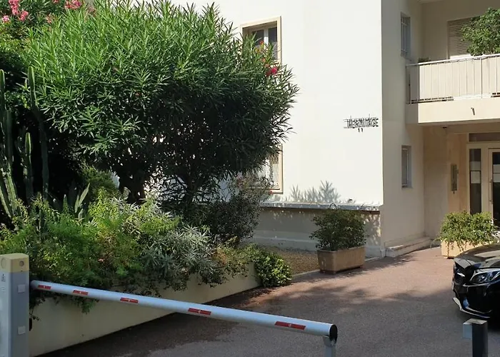 Centre Et A Pied Echappee * Cannes