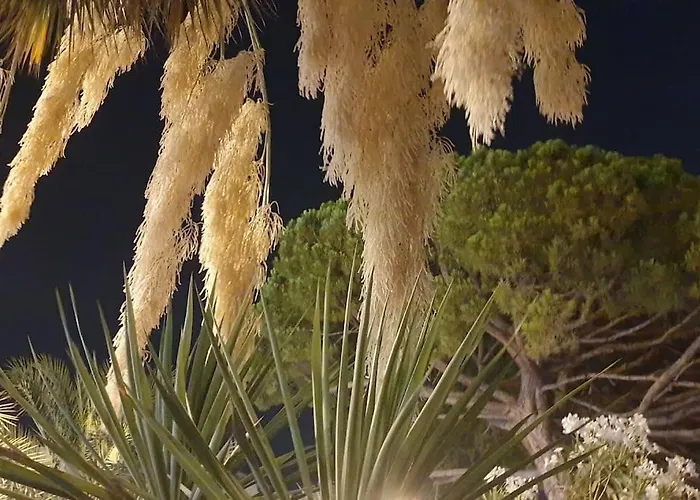 Apartamento Centre Et à Pied échappée